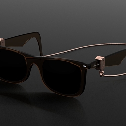 Ray-Ban® WAYFARER Gold Strap Design