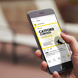 Catford Curious