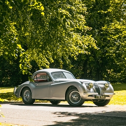1953 Jaguar XK120