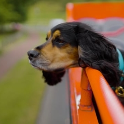 Bright Bus Tours | My Hero