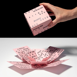 REVEALING BEAUTY WITH PACKAGING