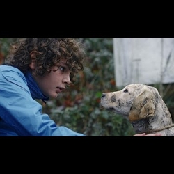 HOWND: When Harry Met Hero (commercial)