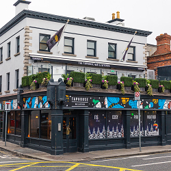 TapHouse Winter Banner - Shane Cluskey