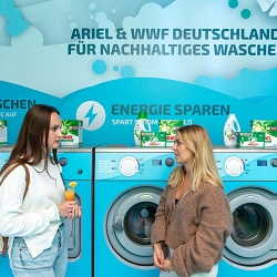 Der Kaltwaschsalon