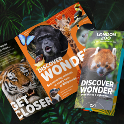 Rebrand of ZSL