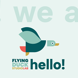 Flying Duck Brand Design