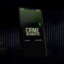 Crime Interrupted