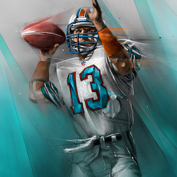 NFL Holywood Park