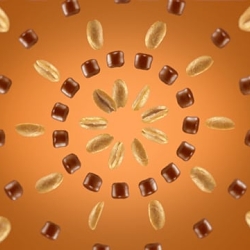 McDonald's McFlurry Snickers (Demo Only)