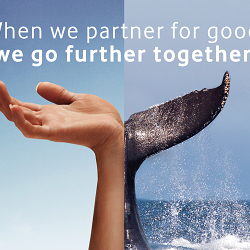 Vodacom & WWF partnership campaign