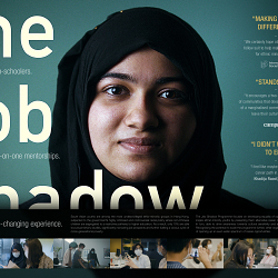 The Job Shadow