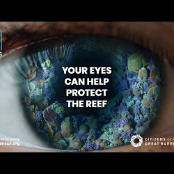 The Great Reef Census - Donate Your Focus