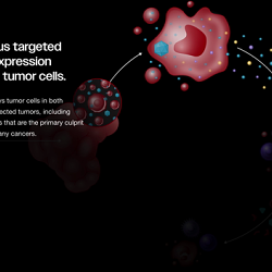 Website - Siren Biotechnology
