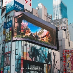 Wild Hearts 3DOOH Trailer