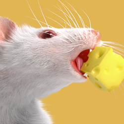 Mouse Bites Cheese.