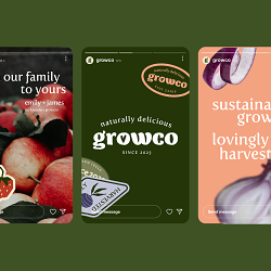 Cultivating a fresh brand identity for an eco-conscious business.