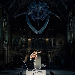 Capturing Pro-skaters with Red Bull and Canon at the Natural History Museum