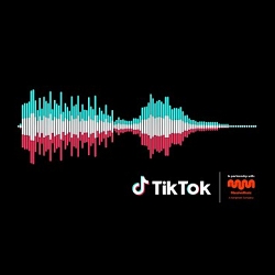 The Sound of TikTok (TikTok Sonic Identity)