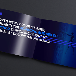 RELM - Branding for Insurance Company