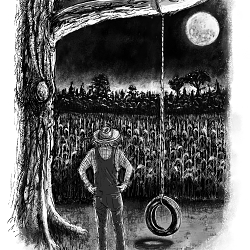 Illustrations for book chapters