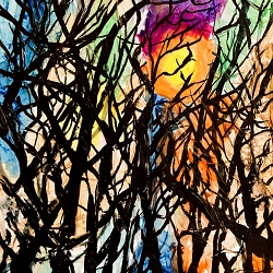Wood at sunset