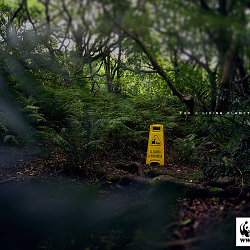WWF Cleaning in progress.