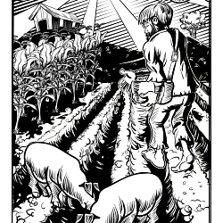 Black and White fantasy Illustrations