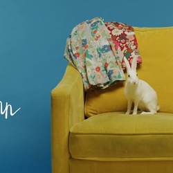 BODEN – Creative Direction