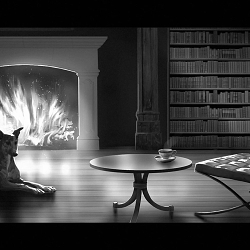 Storyboards: B&W painted cinematic