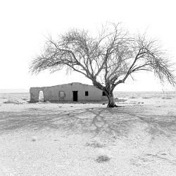 TOPOGRAPHIC PHOTOGRAPHY (B/White)