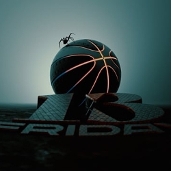 Friday 13. London Lions vs Cheshire Phoenix