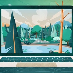 Better Place Forests. How it works