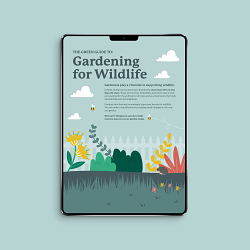 Sustainable Tenterden