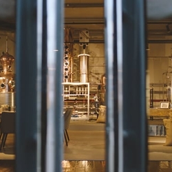 Hayman's Gin Website Content
