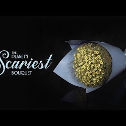 The Planet’s Scariest Bouquet