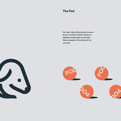Solidify Health – Brand strategy and character design