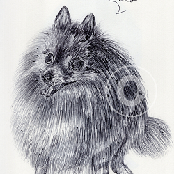 Ballpen Dogs  - My Ballpen Drawings from 2023