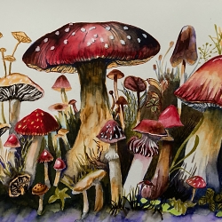 Fungi.