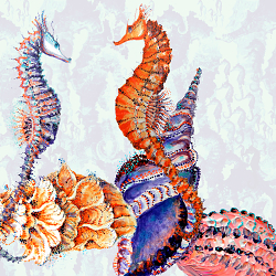 O n c e  u p o n  a  t i m e - Illustrations & Drawings Banner