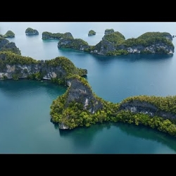 Raja Ampat - The Last Stronghold of Healthy Coral Reefs.