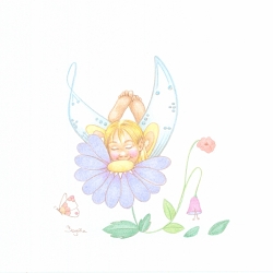 Fairies, Gnomes and Magic