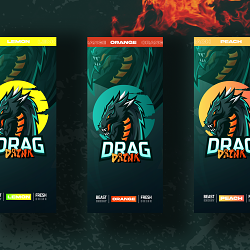 Brand Identity and Packaging
