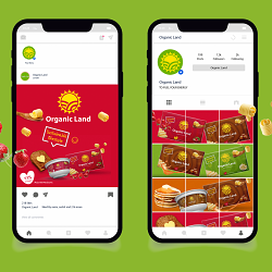 ORGANIC LAND BRANDING & PACKAGING