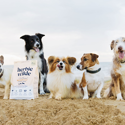 Brand Design for Herbie Wilde, the first ethically-sourced vegan superfood for dogs