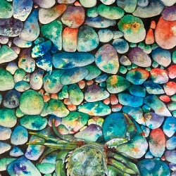 Underwater Crab (Annick Bianchi)
