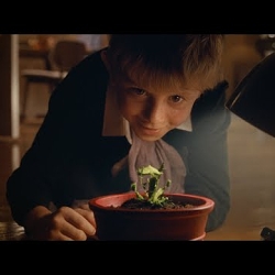John Lewis Christmas - Snapper
