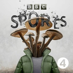 Spores