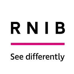 The RNIB Sonic Identity