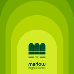 Marlow Ingredients – Branding a Quorn division