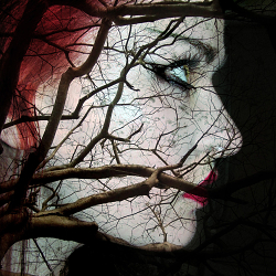 Faces of Hecate, Curse of Persephone